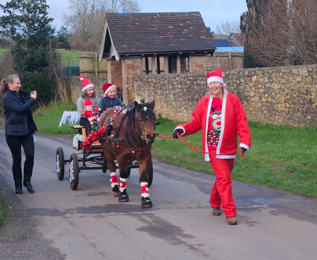 Famous Dartmoor pony raises money with festive tour of town 